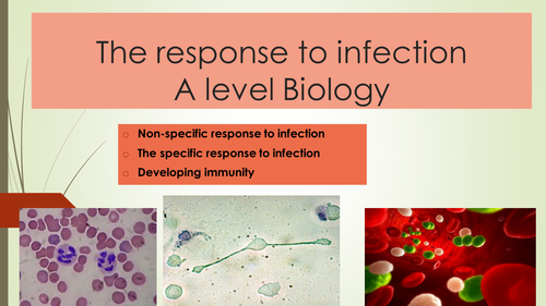 The response to infection for A2 Biology