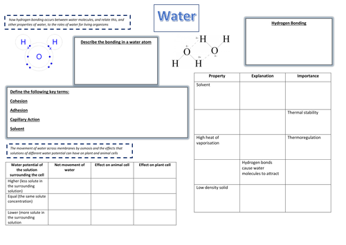 A3 Summary Sheet on OCR Biological Molecules - Water