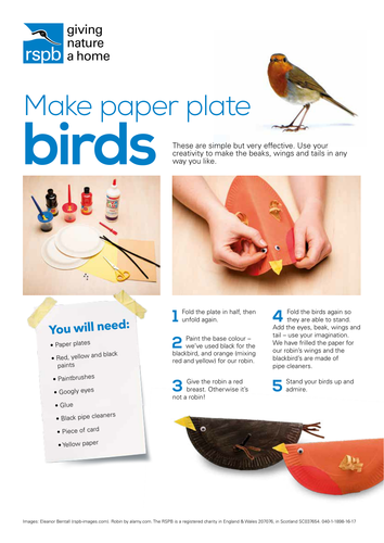 Make a paper plate bird