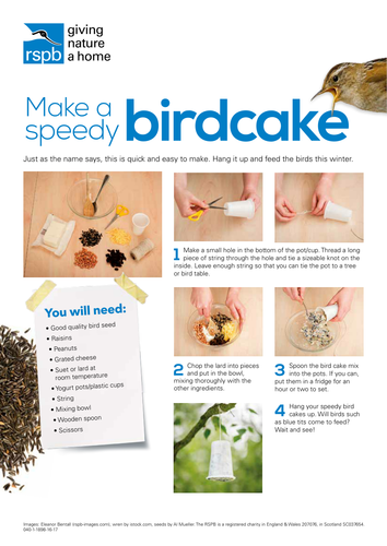 Instructions to make a simple bird cake