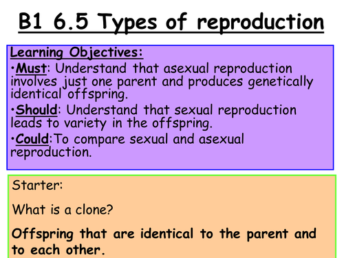 New GCSE Genetics_Lesson 5_B2 6.5_ Sexual and asexual reproduction