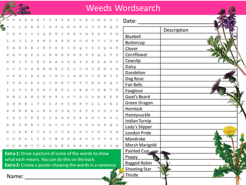 Weeds Wordsearch Nature Plants Gardening Starter Settler Activity Homework Cover Lesson
