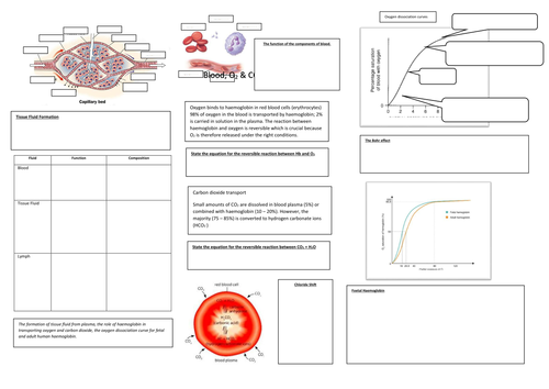 Blood, Tissue Fluid, O2 and CO2 summary sheet OCR 2015