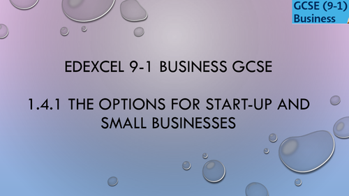 1.4.1 The options for start-up and small businesses