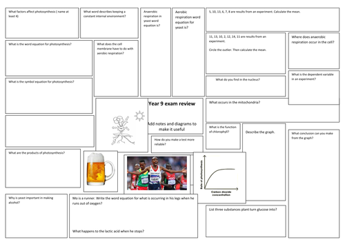 photosynthesis and respiration revision mat