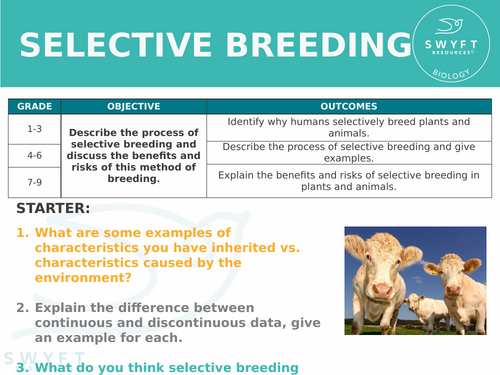 NEW AQA GCSE Trilogy (2016) Biology - Selective breeding