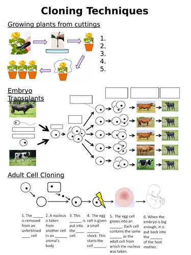 NEW AQA GCSE Trilogy (2016) Biology - Cloning HT