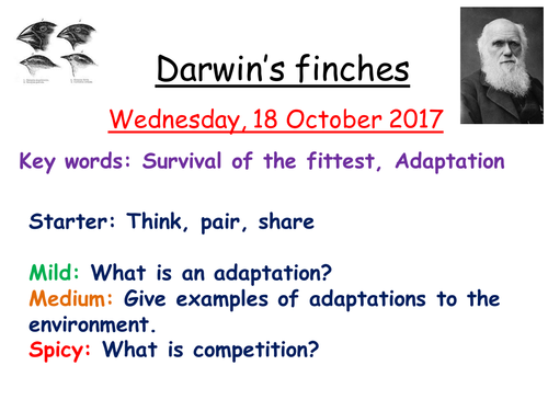 Evolution bundle for new AQA GCSE 9-1