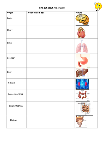 ks3 unit 7a biology human organs and their functions lesson 7ab organs teaching resources