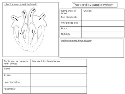 Revision map for the cardiovascular, photosynthesis and respiration unit.