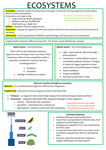 A-Level Biology OCR: Ecosystems and Succession