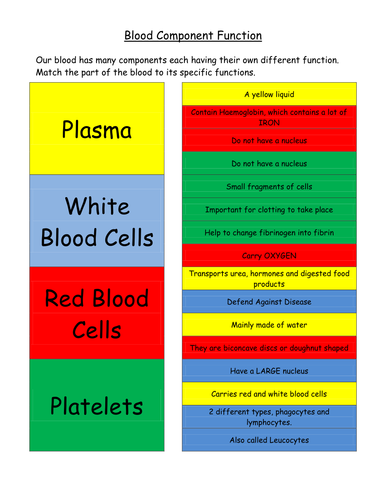 AQA B4.1 - B4.4 The Blood, Blood Vessels, Heart and Heart Problems (Trilogy Content)