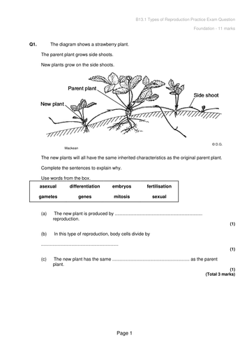 AQA B13 Reproduction (Trilogy Content)