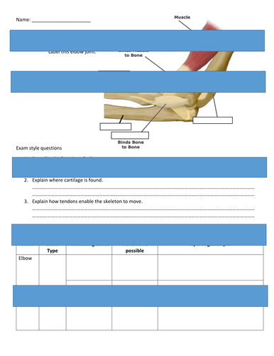 OCR GCSE PE- Components of a Joint HARD and EASY