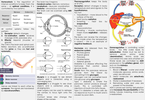 AQA GCSE Biology (Triple) - Homeostasis and Response Knowledge Organiser - Revision