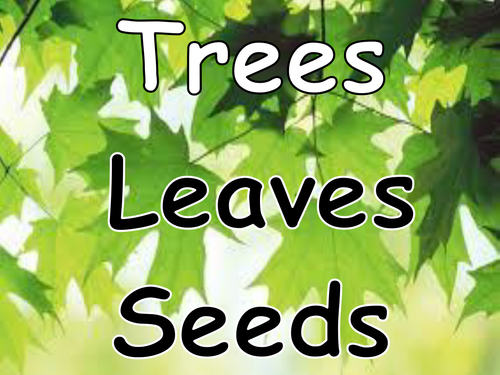 Trees, leaves & seeds ppt