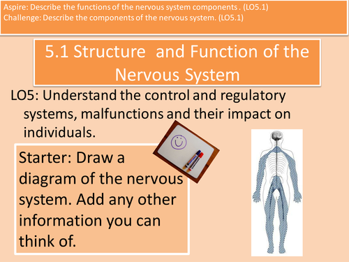 5.1 Components of the Nervous System Unit 4 Health and Social Care L3 Cambridge Technical