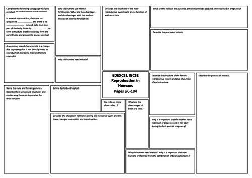 Edexcel iGCSE Human Reproduction