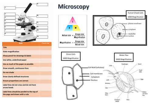 Microscopy Support Mat