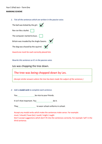 Year 5/ 6 SPaG test (Test one)