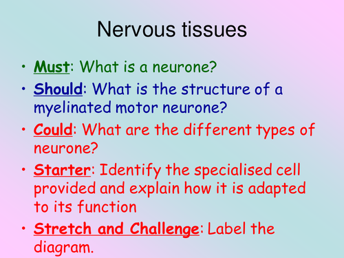 New BTEC Applied Science B3 Tissues structure and function_Nervous tissue_Lesson 1