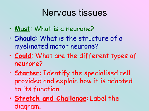 New BTEC Applied Science B3 Tissues structure and function_Nervous tissue_Lessons 1& 2