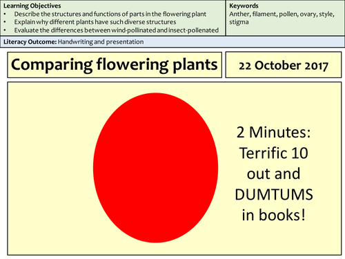KS3 Comparing Flowering Plants