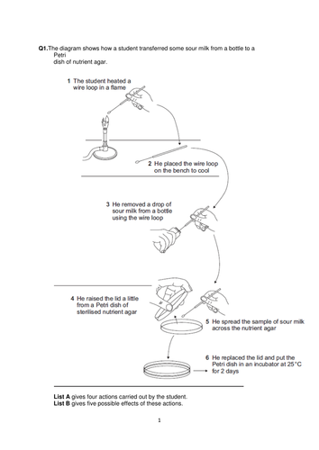 B5.3 Growing bacteria in a lab