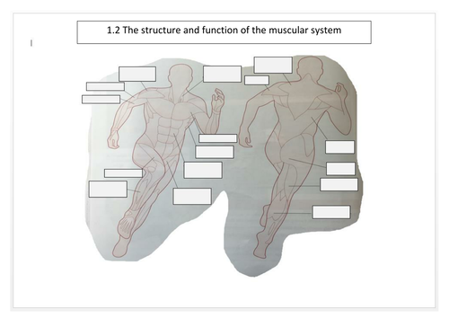 WJEC EDUQAS Muscular Skeletal System Unit of Work