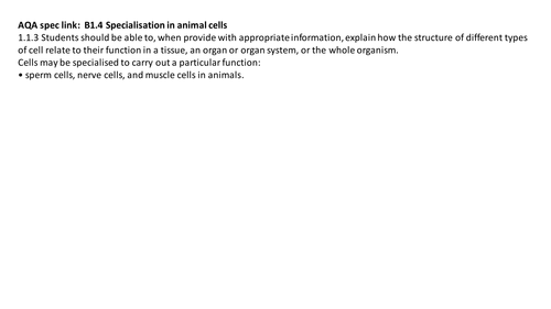 B1.4 Cell specialization in animals