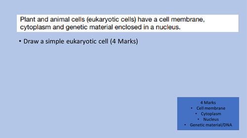 AQA Biology revision cell structure