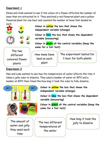 Year 7 variables complete lesson