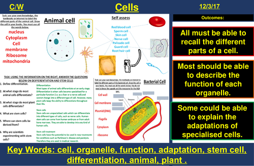 Cells, Specialised Cells, Differentiation | AQA B1 4.1 | New Spec 9-1 (2018)