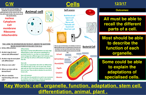 Cells, Specialised Cells, Differentiation | AQA B1  | New Spec 9-1  (2018) | Teaching Resources