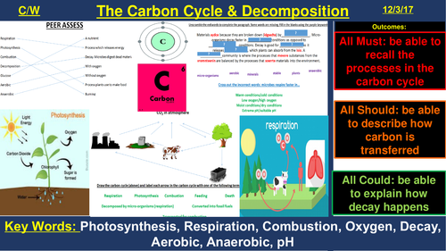The Carbon Cycle & Decomposition | AQA B2 4.7 | New Spec 9-1 (2018)