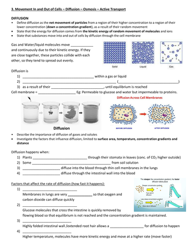 IGCSE BIOLOGY: 3.0/4.0/5.0