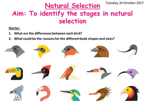 AQA A level Biology Natural selection