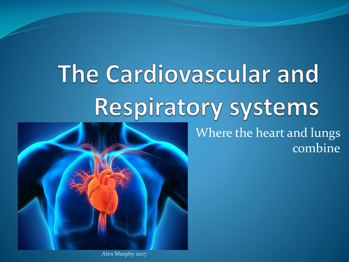 The Cardiovascular system | Teaching Resources
