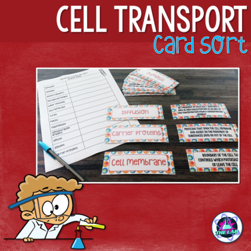 Movement in Cells Vocabulary Card Sort