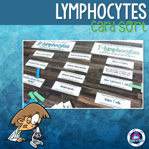 Lymphocytes Card Sort