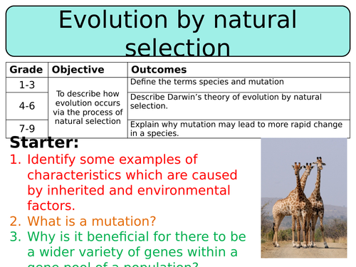 NEW AQA GCSE Trilogy (2016) Biology - Evolution by natural selection