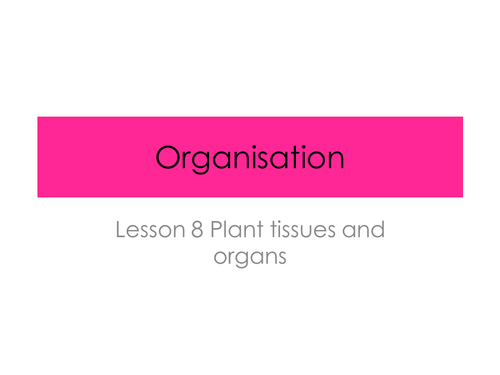 Plant cell Organisation - Organisation (New AQA Spec)