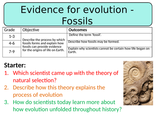 NEW AQA GCSE Trilogy (2016) Biology - Evidence for evolution: Fossils