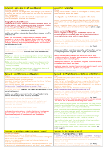 Year 3 - curriculum coverage into 6 half terms (excluding Maths and Literacy)