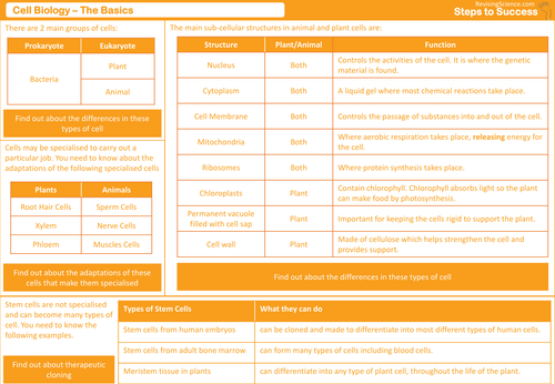 Cell Biology - The Basics