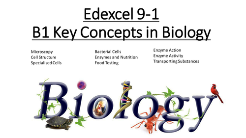B1 Key Concepts in Biology Edexcel 9-1