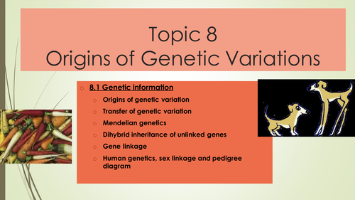 A2 Biology Topic 8.1 'Origins of  gentic variation'