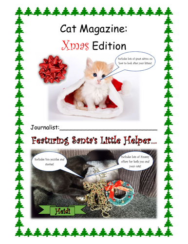 KS3 English 50 page Christmas Cat Magazine themed Worksheets