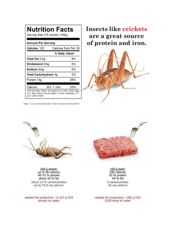 Can Eating Insects Save The Planet?