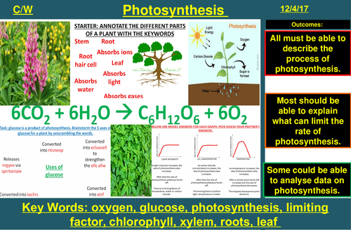 Photosynthesis | AQA B1 4.4 | New Spec 9-1 (2018)